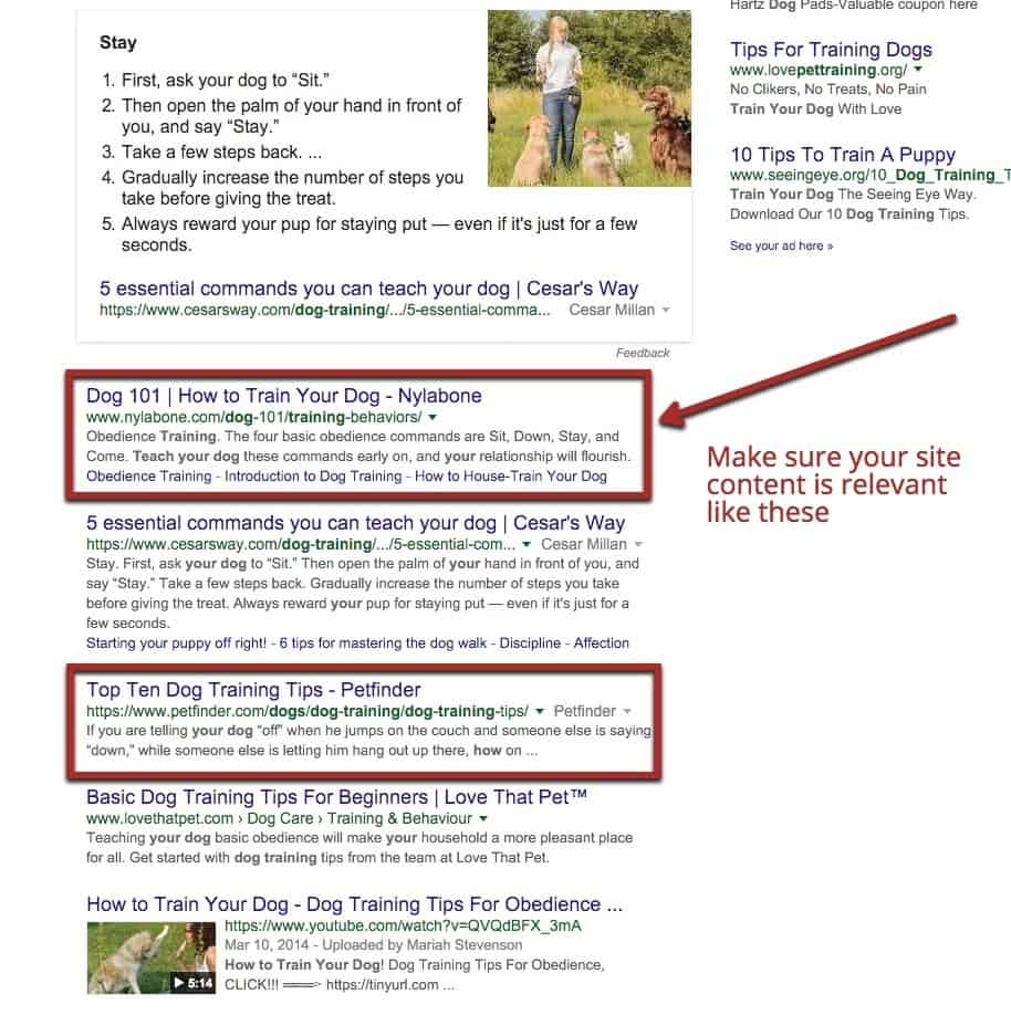 Website Content Relevance