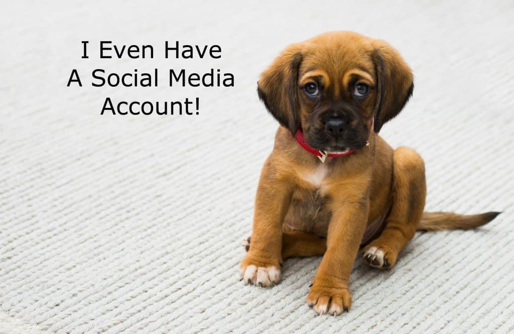 Dog has social media account