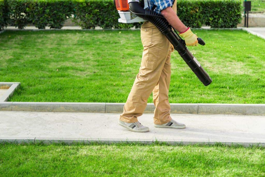 Leaf Blower